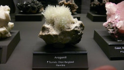 newaxel008007.jpg