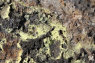 newaxel010014.jpg